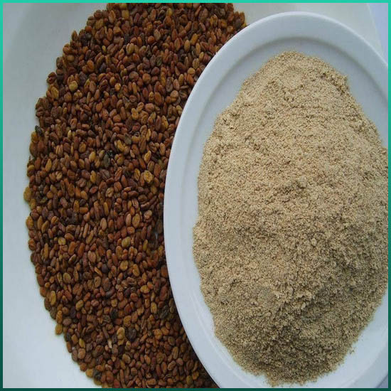 Ekstrak Fenugreek